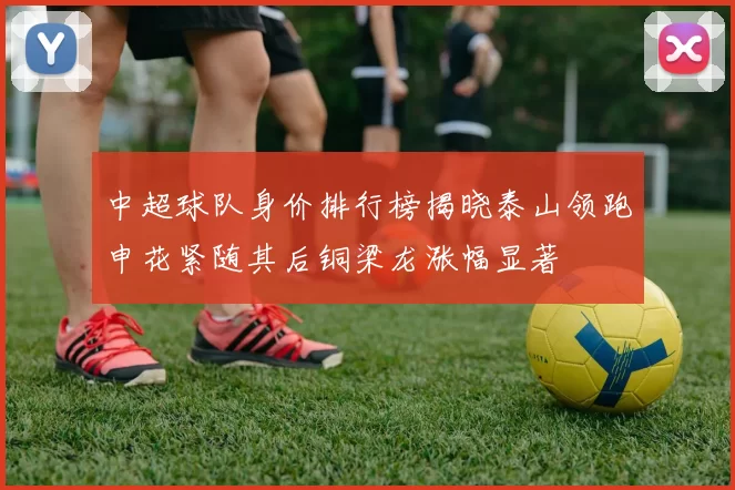 中超球队身价排行榜揭晓泰山领跑申花紧随其后铜梁龙涨幅显著